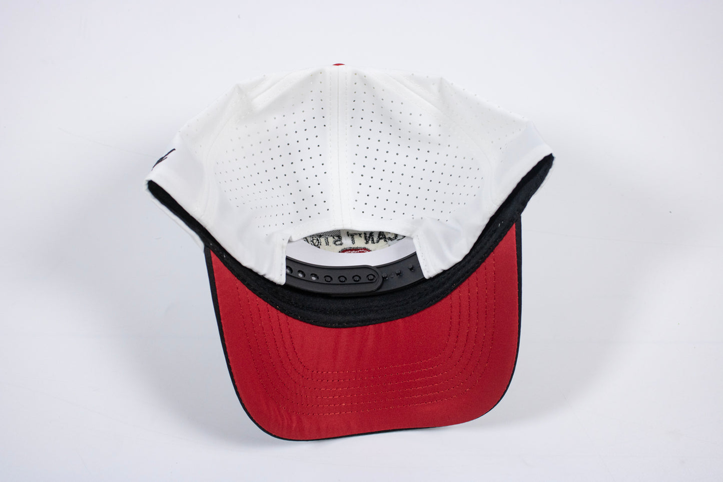 Parlnd Premium Golf Hats